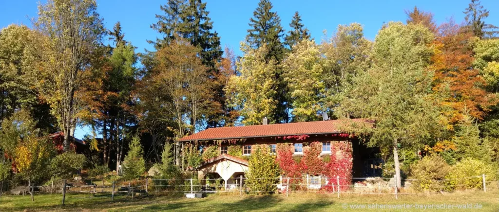 Ferienhaus in Bayern mit Carport Tipps zum günstig kaufen